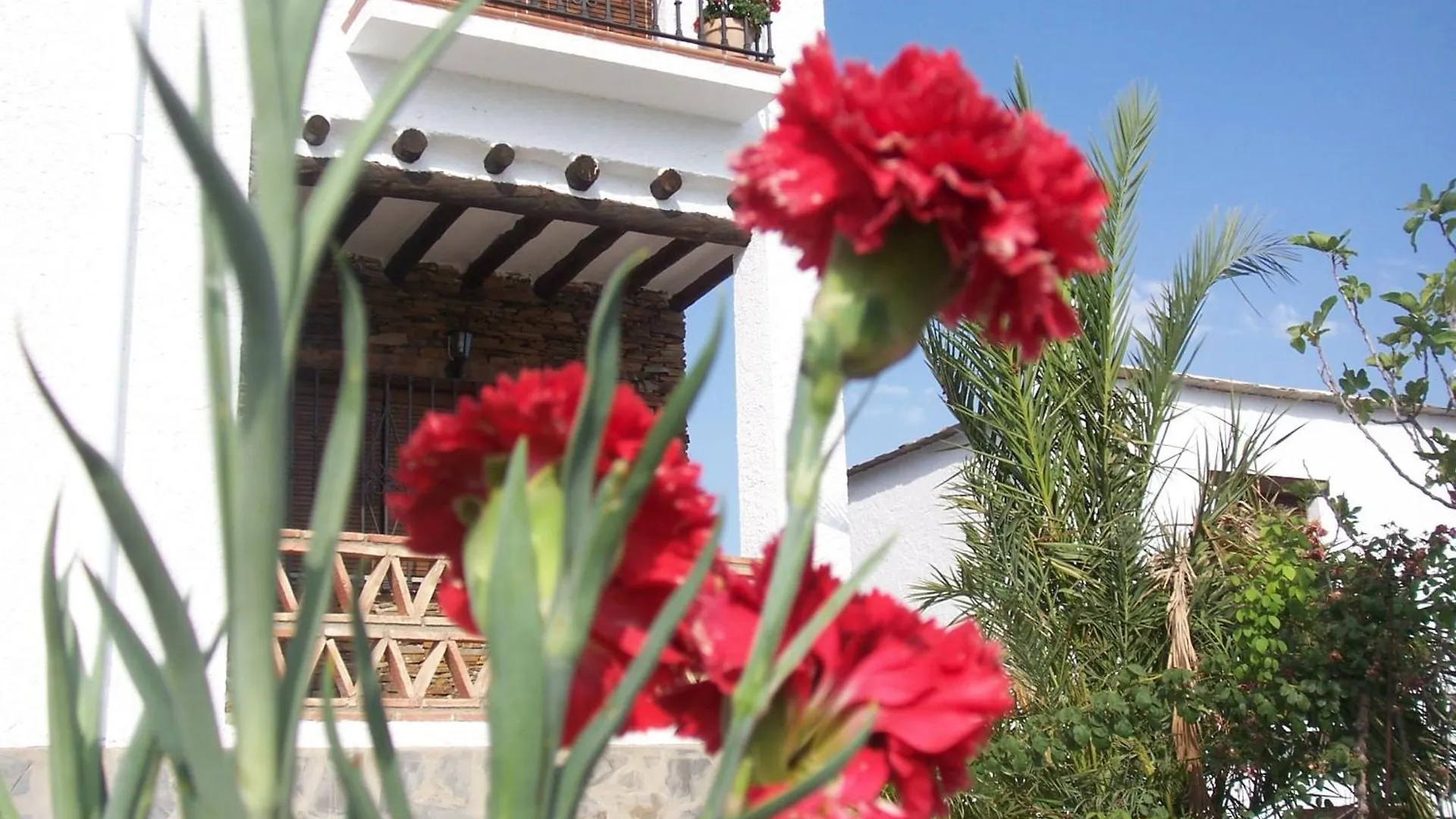 Gemuetliches Haus Mit Garten Und Schwimmbad Valor Holiday home